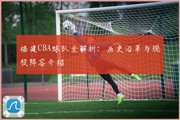 福建CBA球队全解析：历史沿革与现役阵容介绍