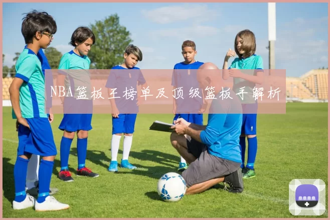 NBA篮板王榜单及顶级篮板手解析