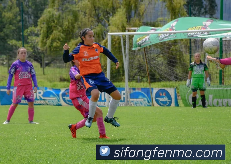 辅助工具 辅助工具